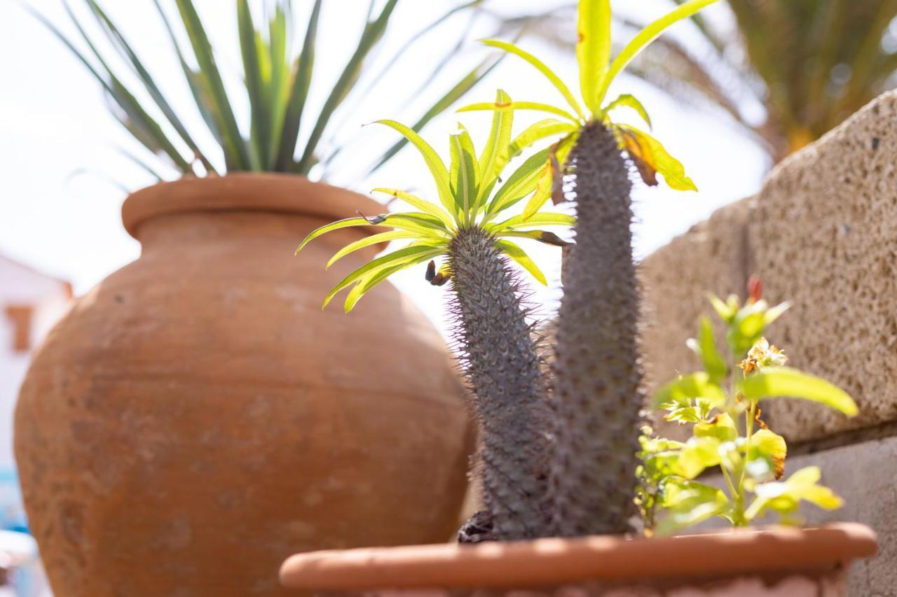 Casa Limon - Ocean View - Bbq - Garden - Terrace - Free Wifi - Child & Pet-Friendly - 2 Bedrooms - 6 People ポリス・デ・アボナ エクステリア 写真